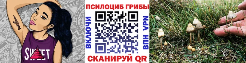 Галлюциногенные грибы MAGIC MUSHROOMS  Белоозёрский 